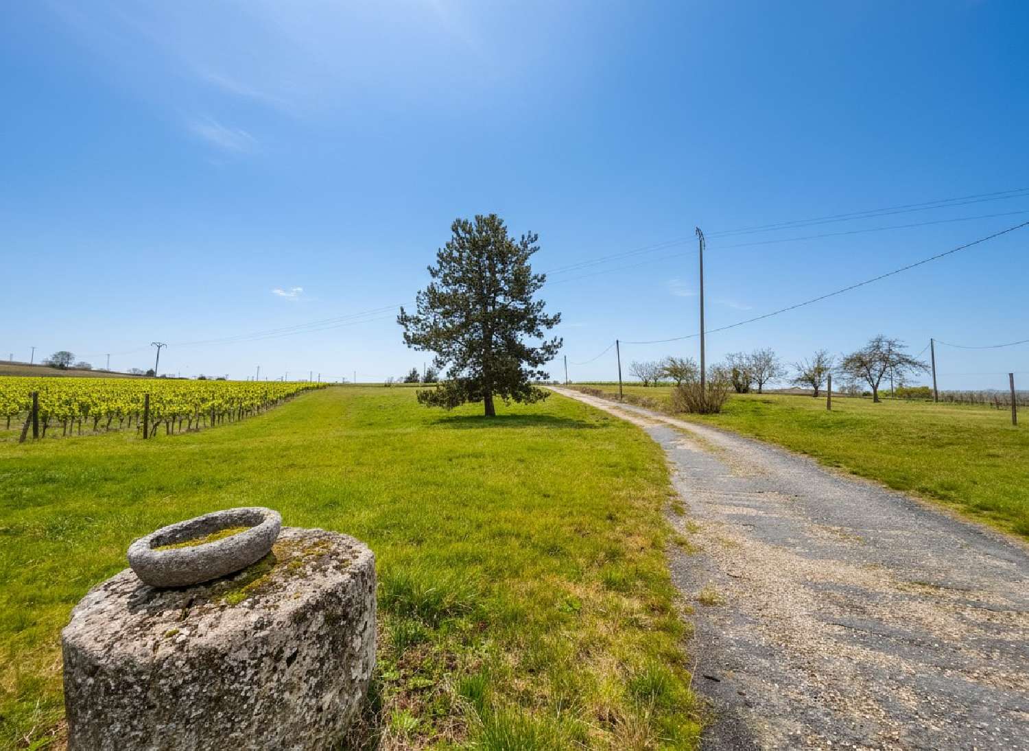  te koop boerderij Pellegrue Gironde 2