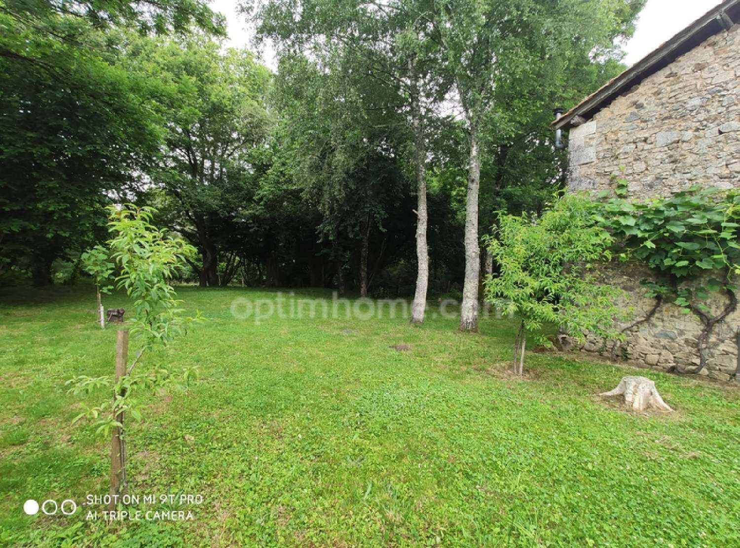  te koop boerderij Roussines Charente 6