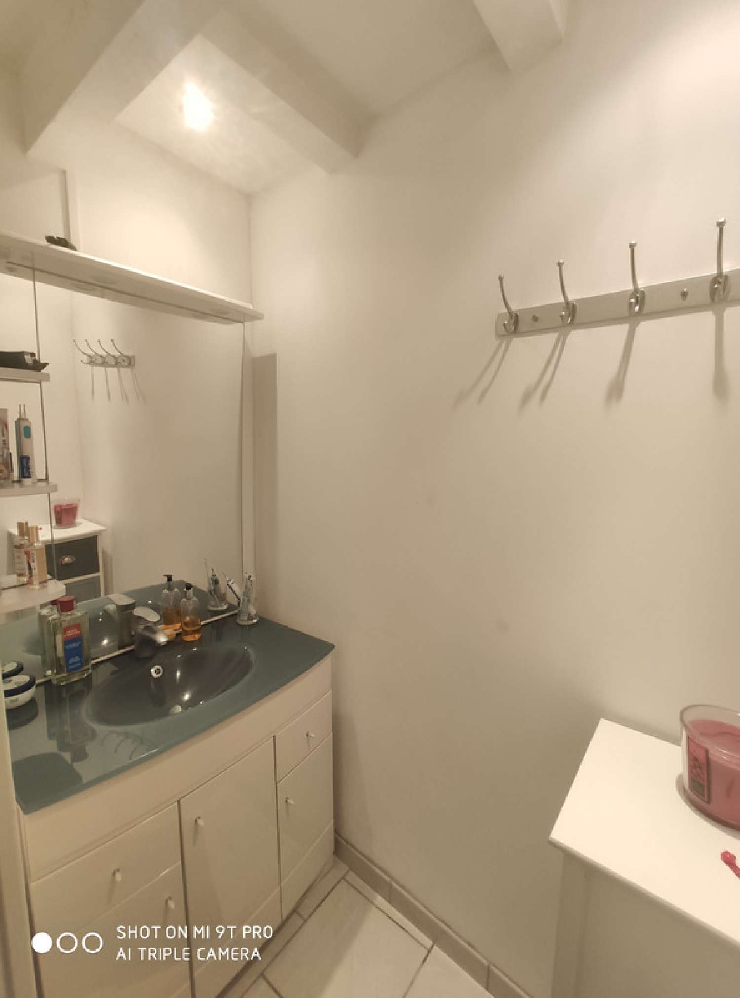  te koop boerderij Roussines Charente 7