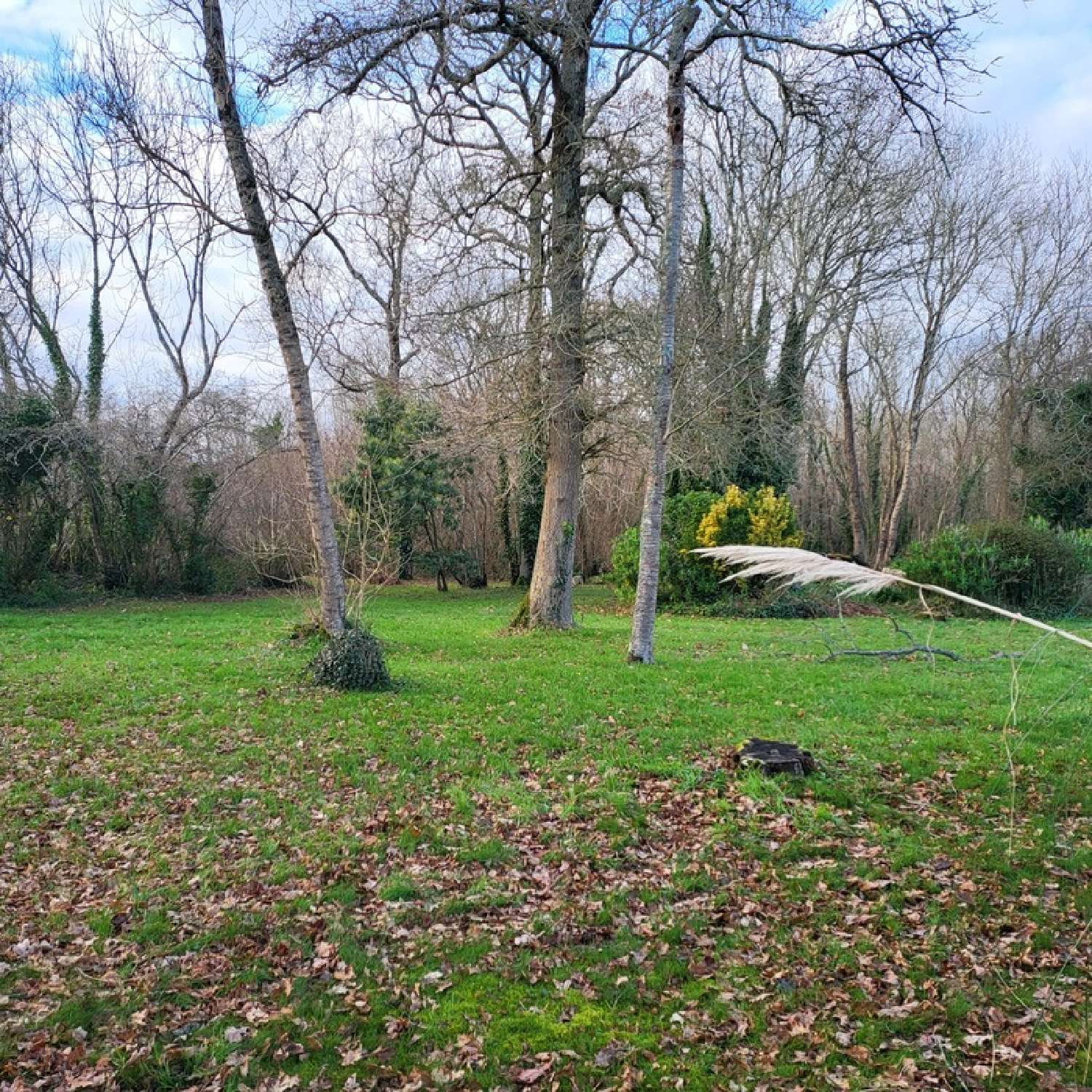  en venta casa rústica Saint-Jean-Trolimon Finistère 4
