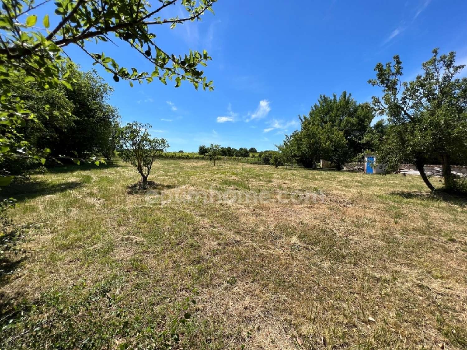  te koop boerderij Saint-Sulpice-de-Cognac Charente 4