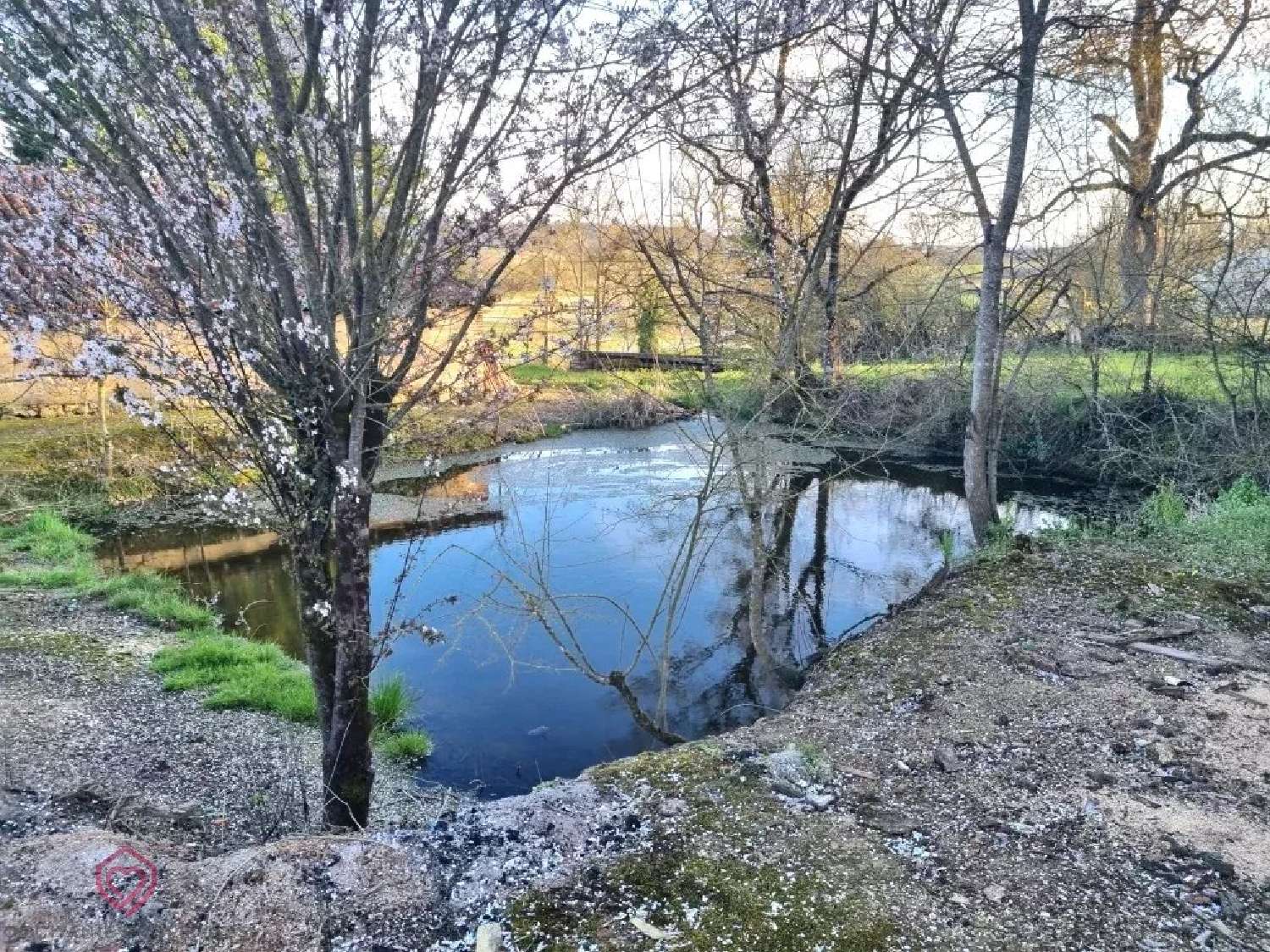  for sale farm Seissan Gers 8