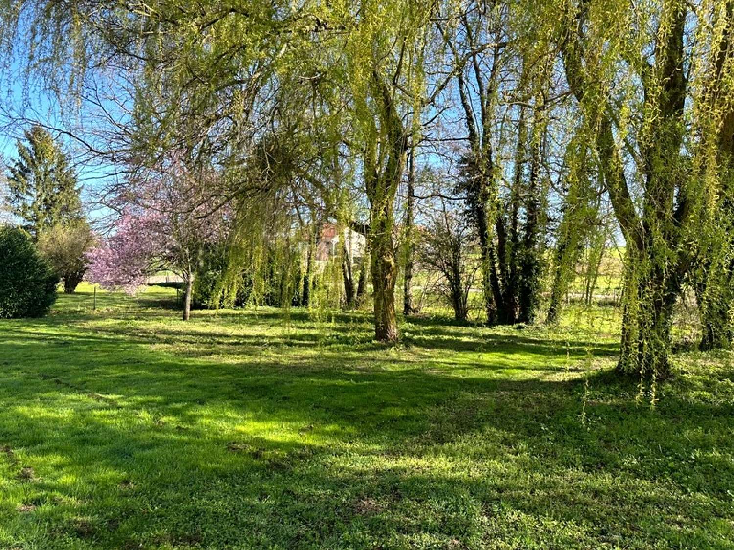  kaufen Bauernhof Semur-en-Auxois Côte-d'Or 4