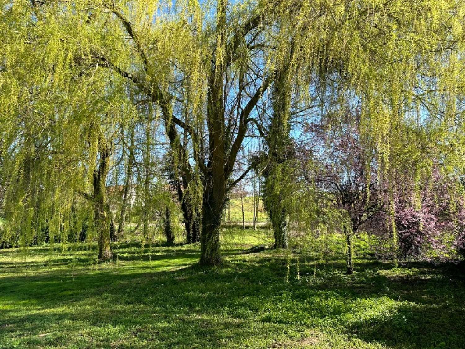  kaufen Bauernhof Semur-en-Auxois Côte-d'Or 5