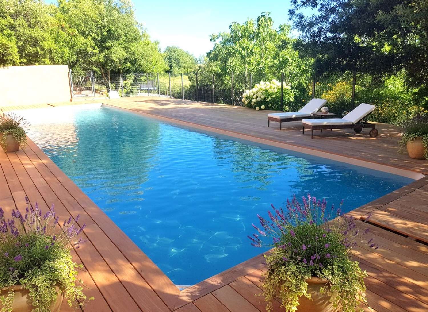  te koop boerderij Vaour Tarn 2