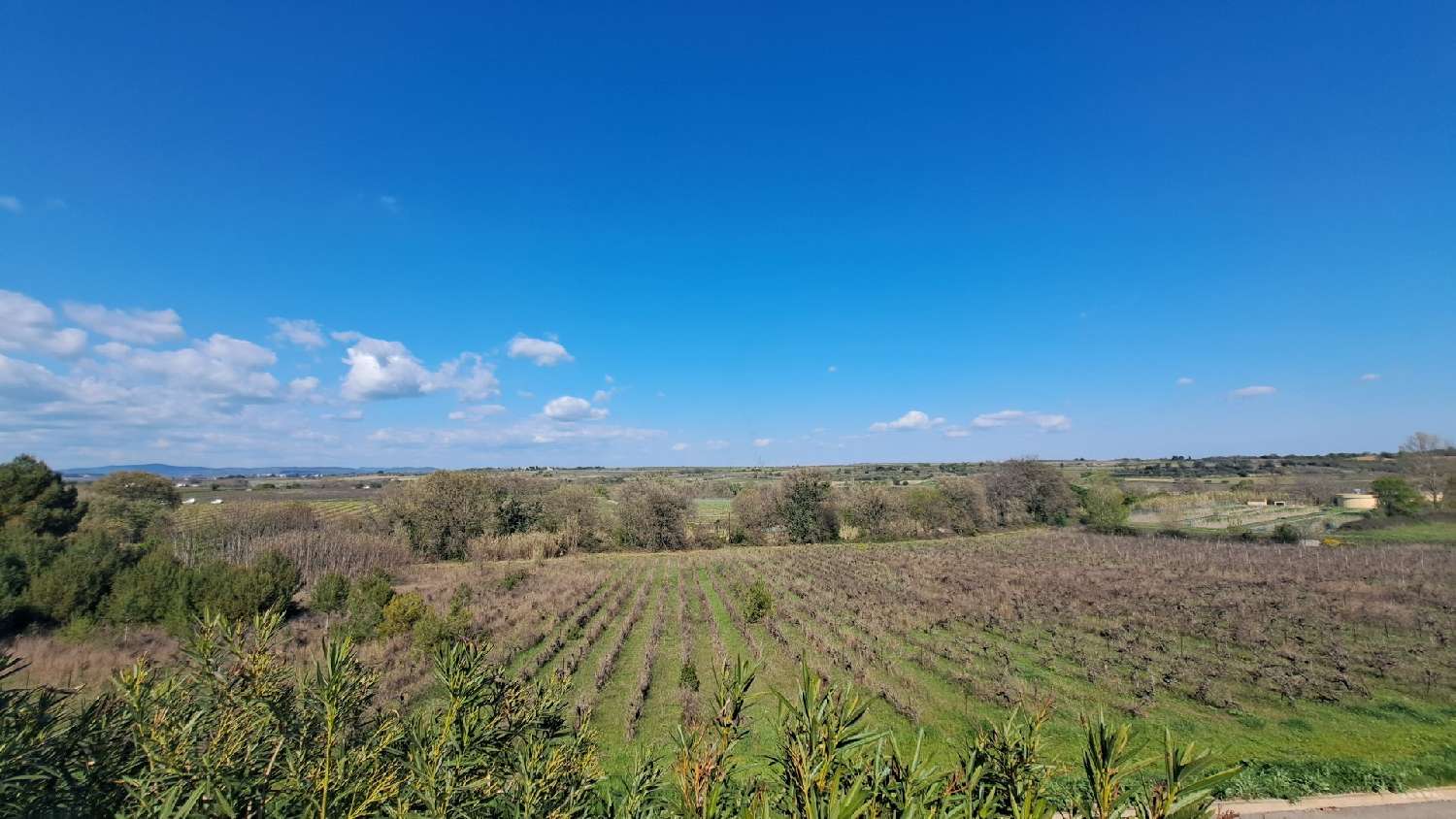 en venta casa Abeilhan Hérault 1