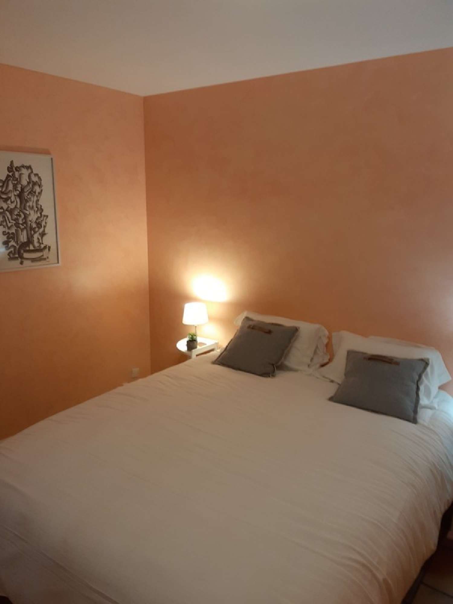  à vendre maison Aiglun Alpes-de-Haute-Provence 7