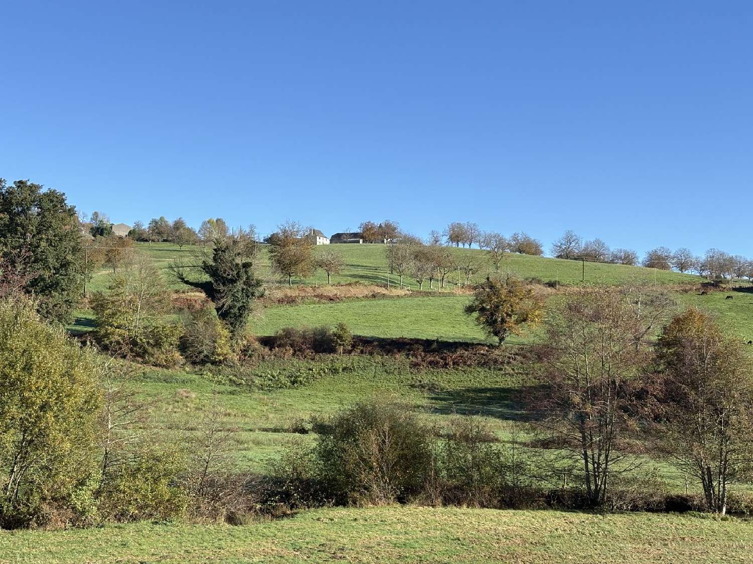  à vendre maison Albussac Corrèze 2