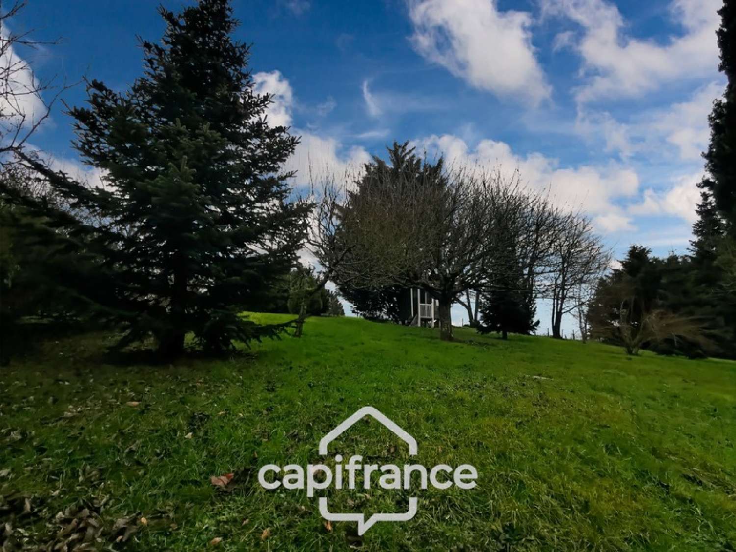  à vendre maison Allériot Saône-et-Loire 7