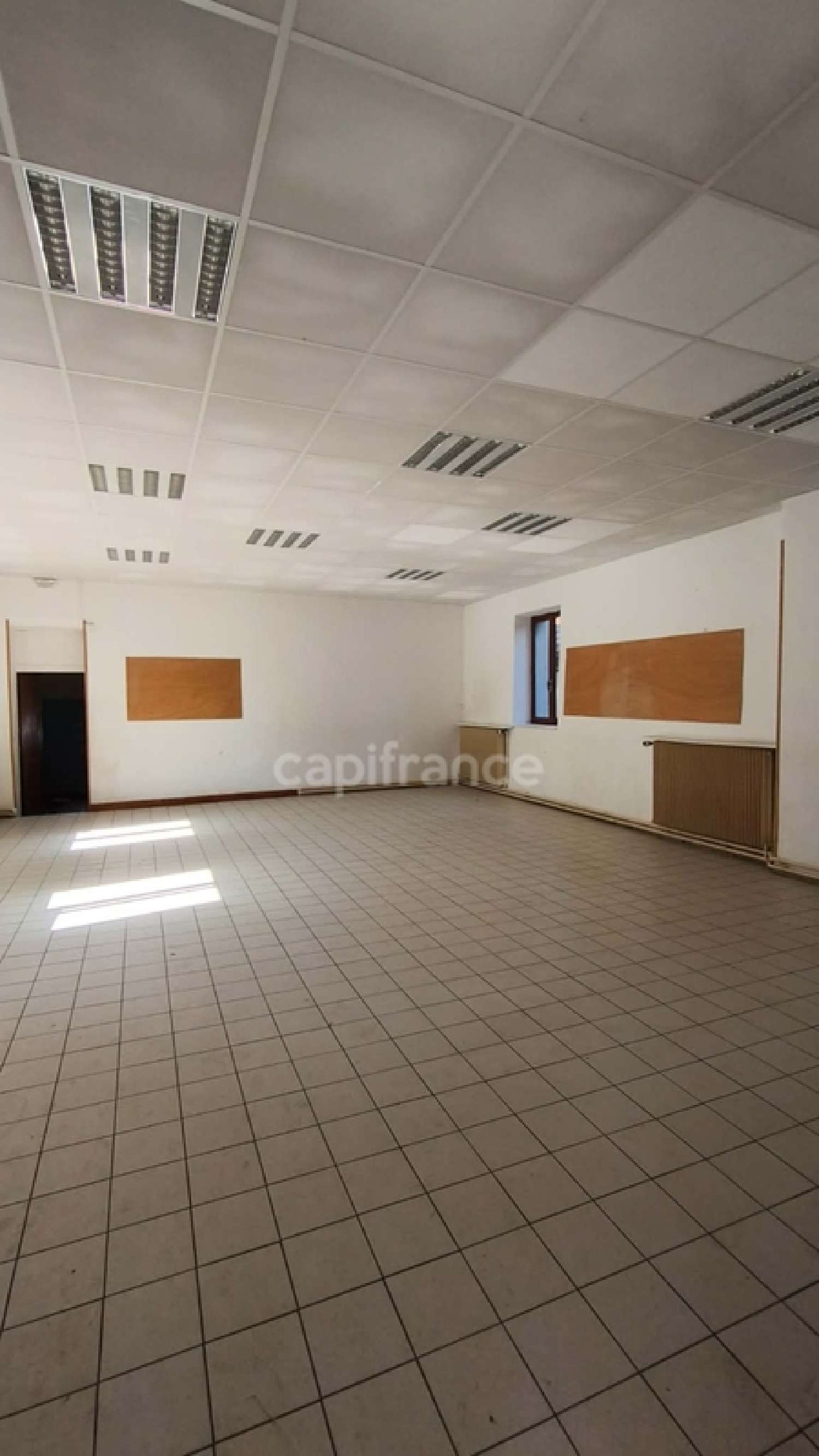  te koop huis Aoste Isère 4