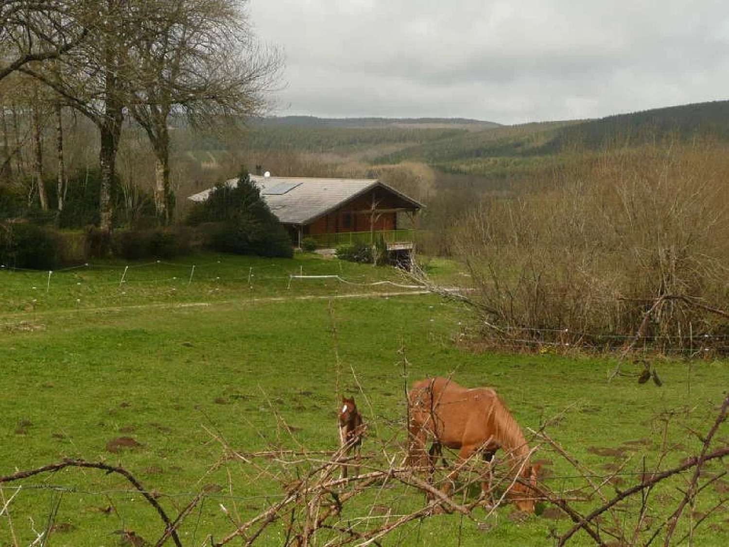  à vendre maison Arfons Tarn 1