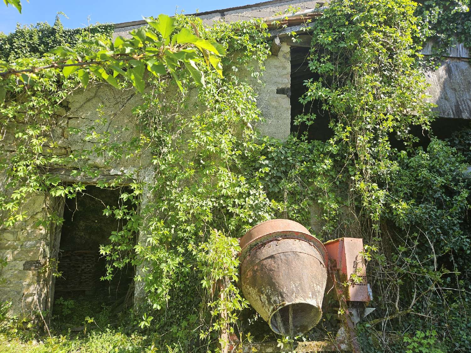  à vendre maison Arnoncourt-sur-Apance Haute-Marne 6