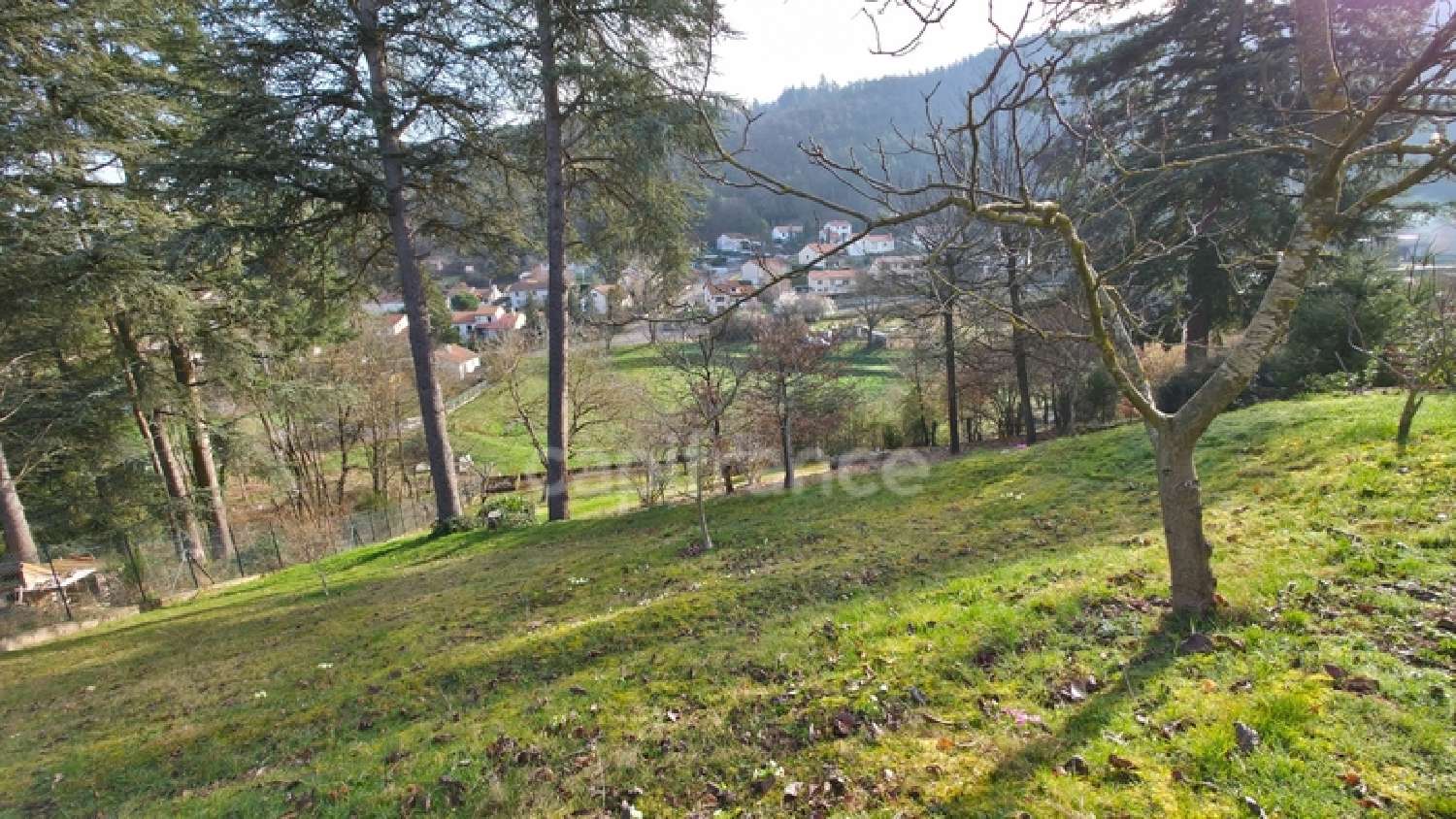  for sale house Aurec-sur-Loire Haute-Loire 6