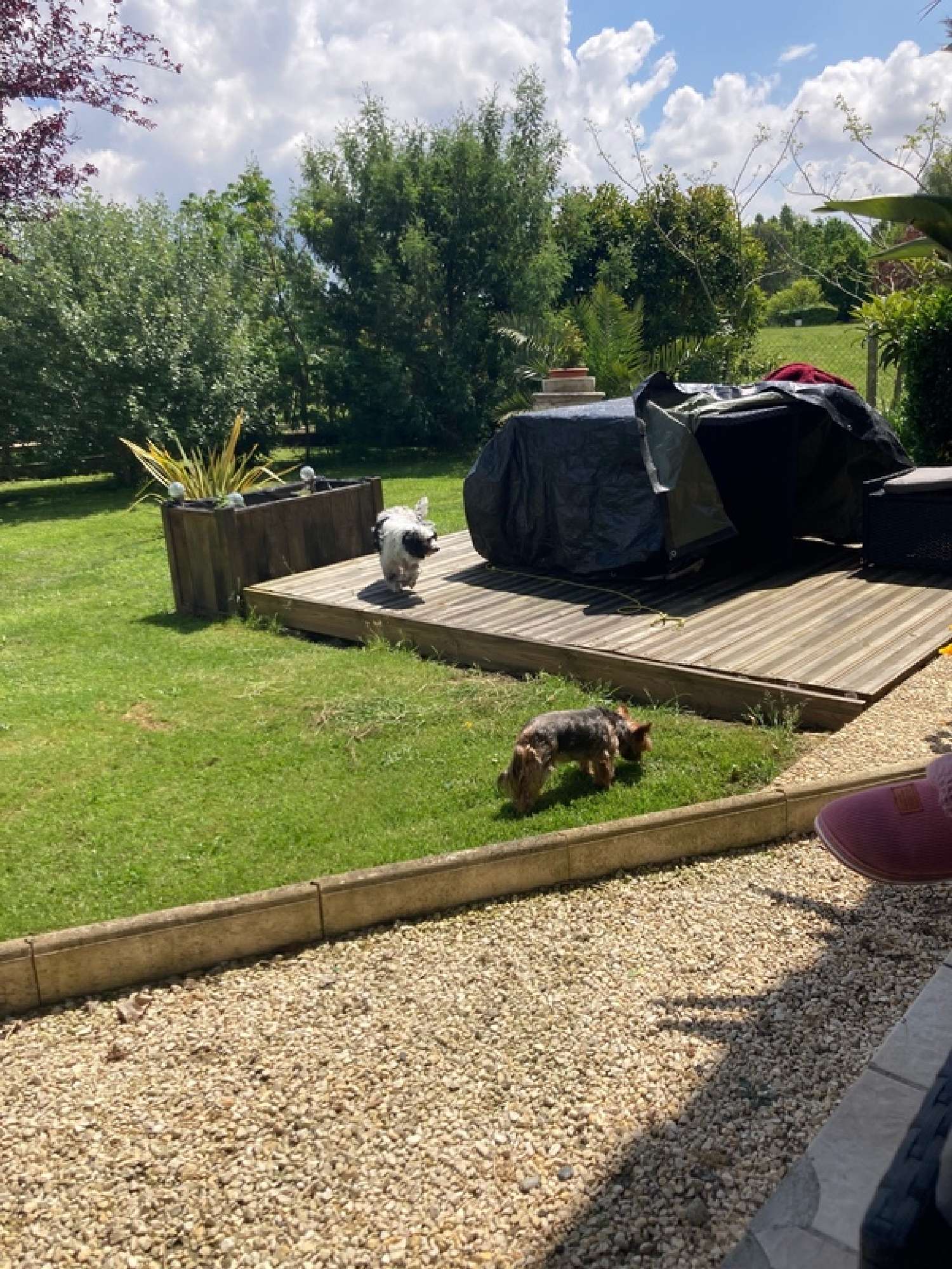  te koop huis Barcelonne-du-Gers Gers 6