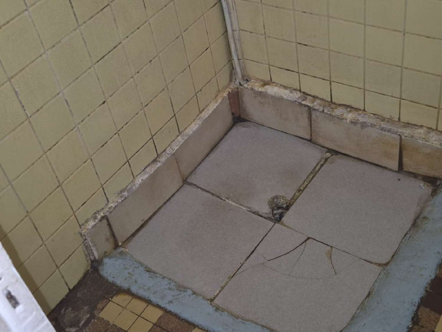  for sale house Basse-Terre Guadeloupe 2