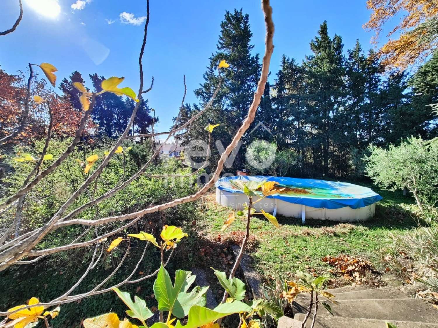 à vendre maison Beaumes-de-Venise Vaucluse 8