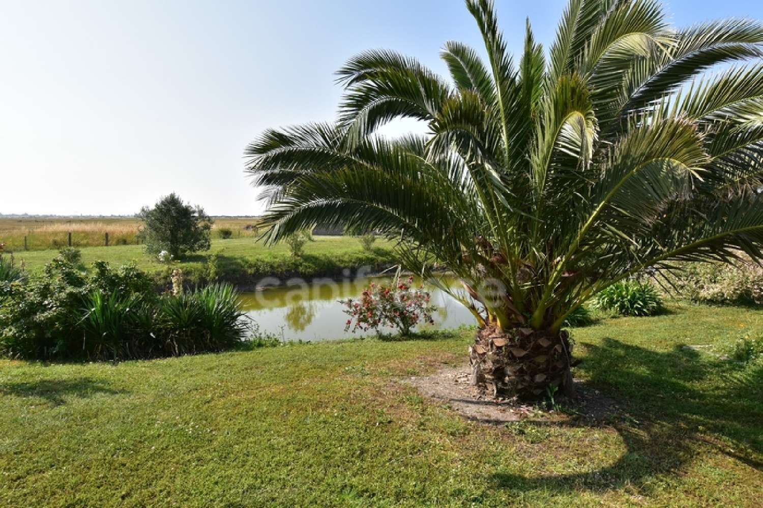 te koop huis Beauvoir-sur-Mer Vendée 5