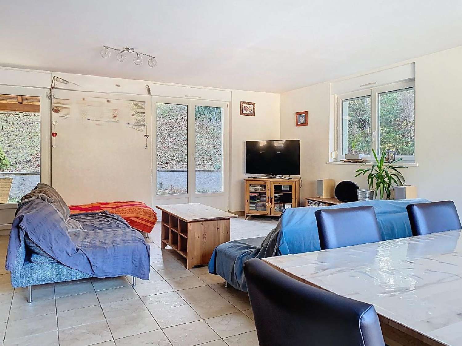  à vendre maison Bellefosse Bas-Rhin 3