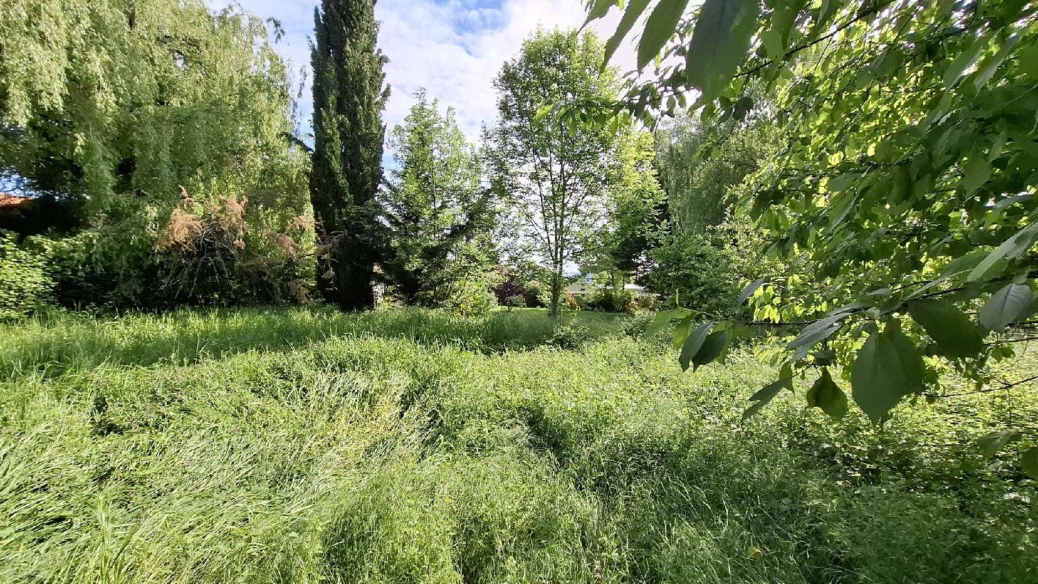  te koop huis Bellerive-sur-Allier Allier 2