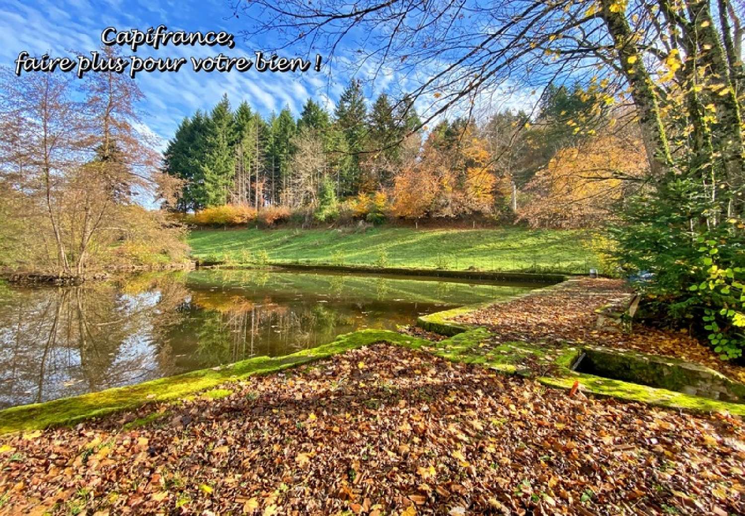  te koop huis Belmont-de-la-Loire Loire 2