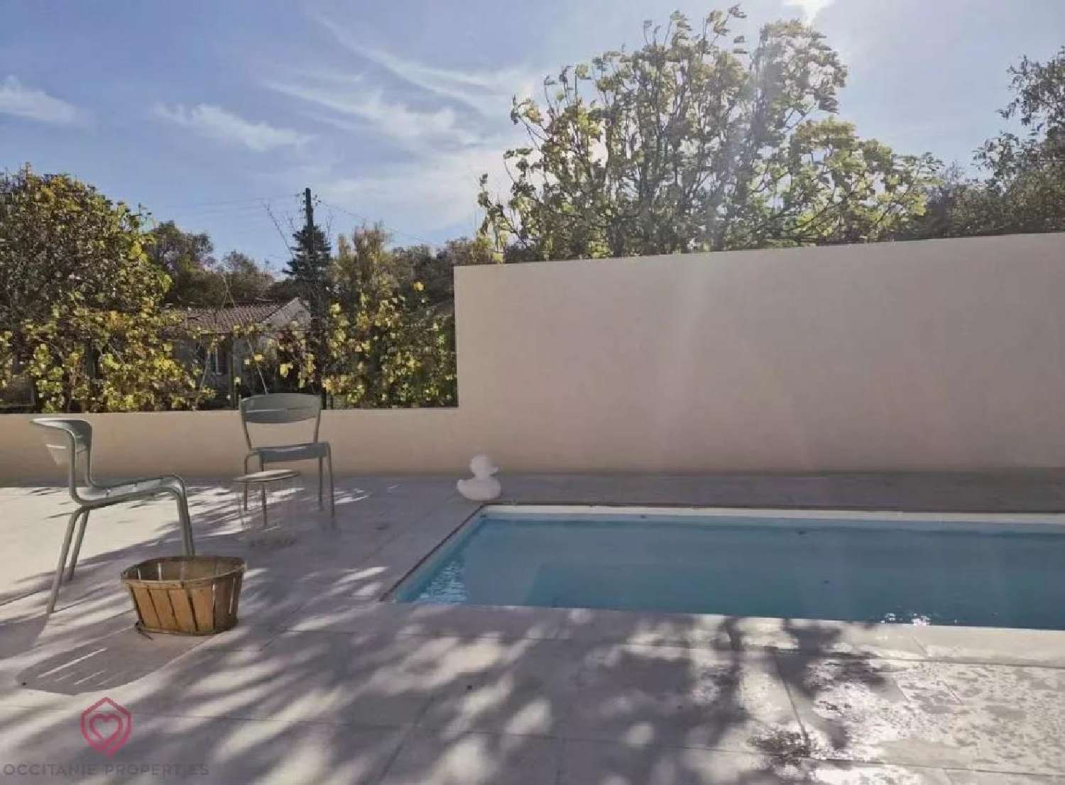  à vendre maison Belvèze-du-Razès Aude 2