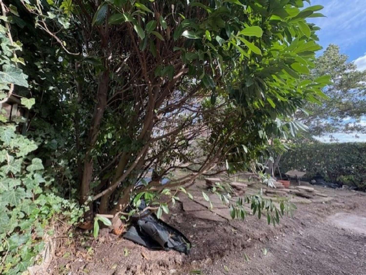  te koop huis Béziers Hérault 6