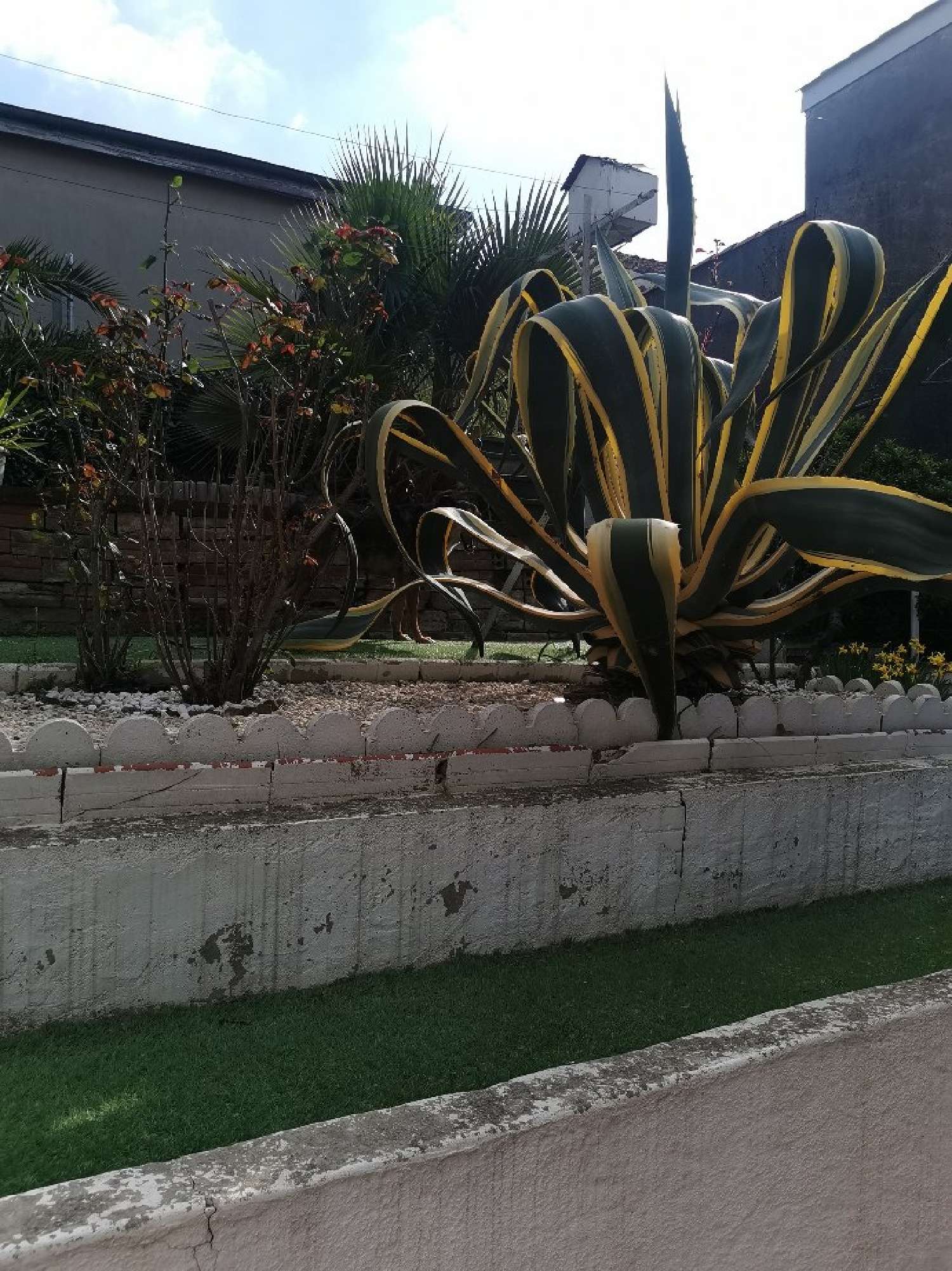  te koop huis Béziers Hérault 3