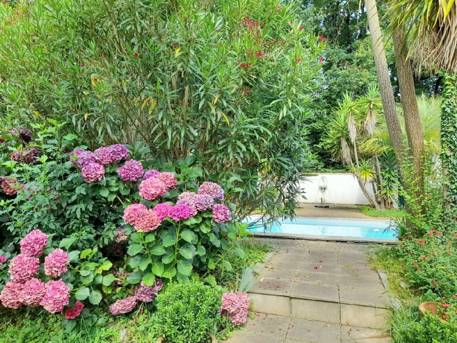 kaufen Haus Bidart Pyrénées-Atlantiques 4