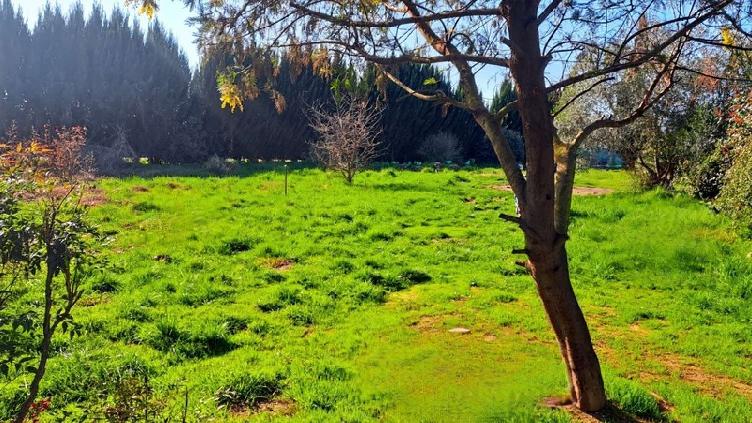 te koop huis Bordes Hautes-Pyrénées 4