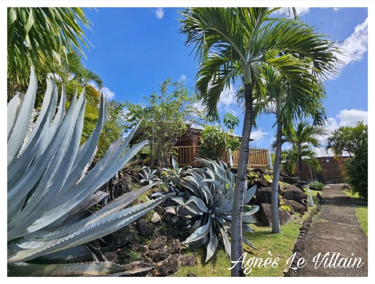  kaufen Haus Bouillante Guadeloupe 2