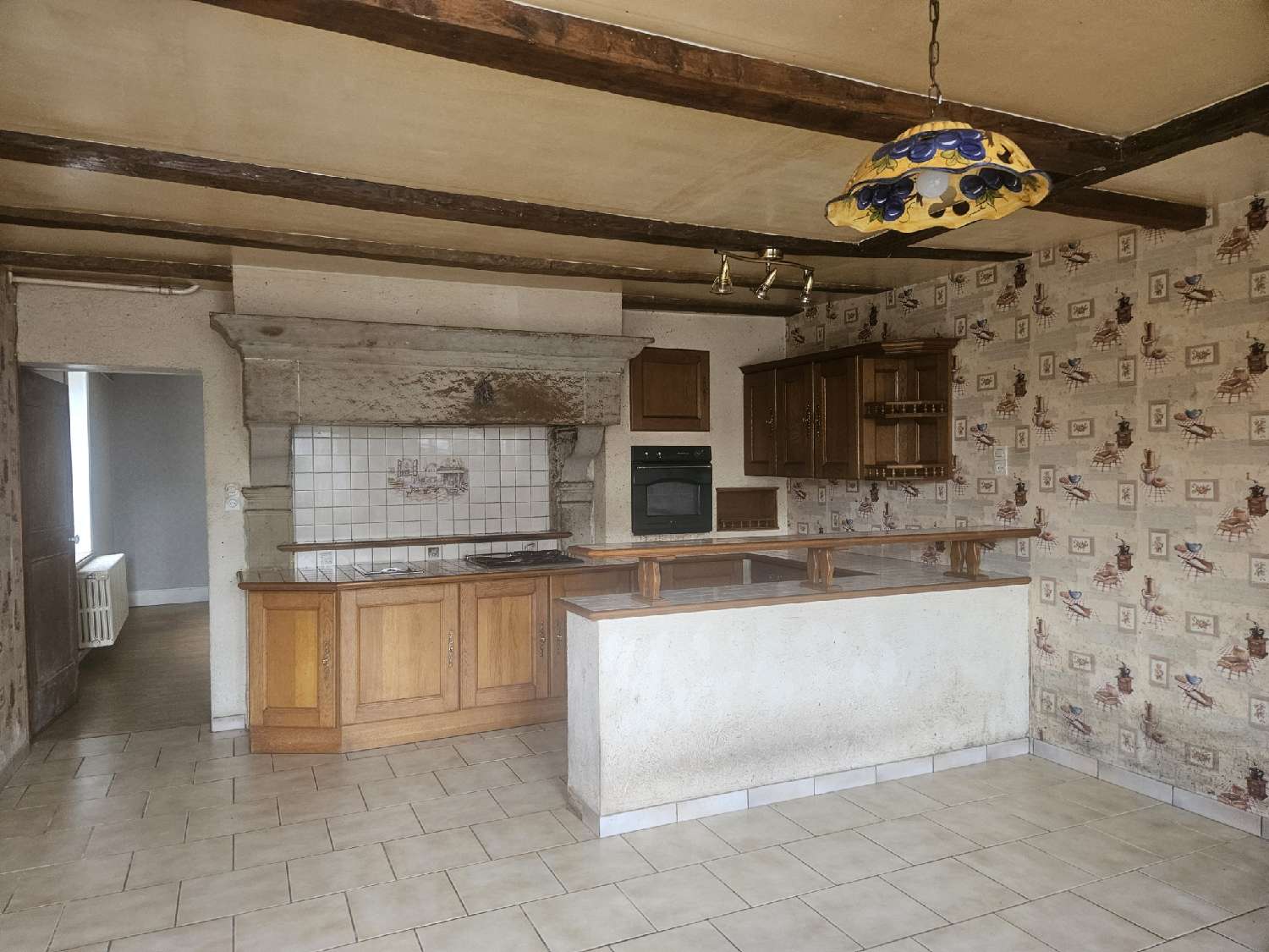  à vendre maison Bourbonne-les-Bains Haute-Marne 3