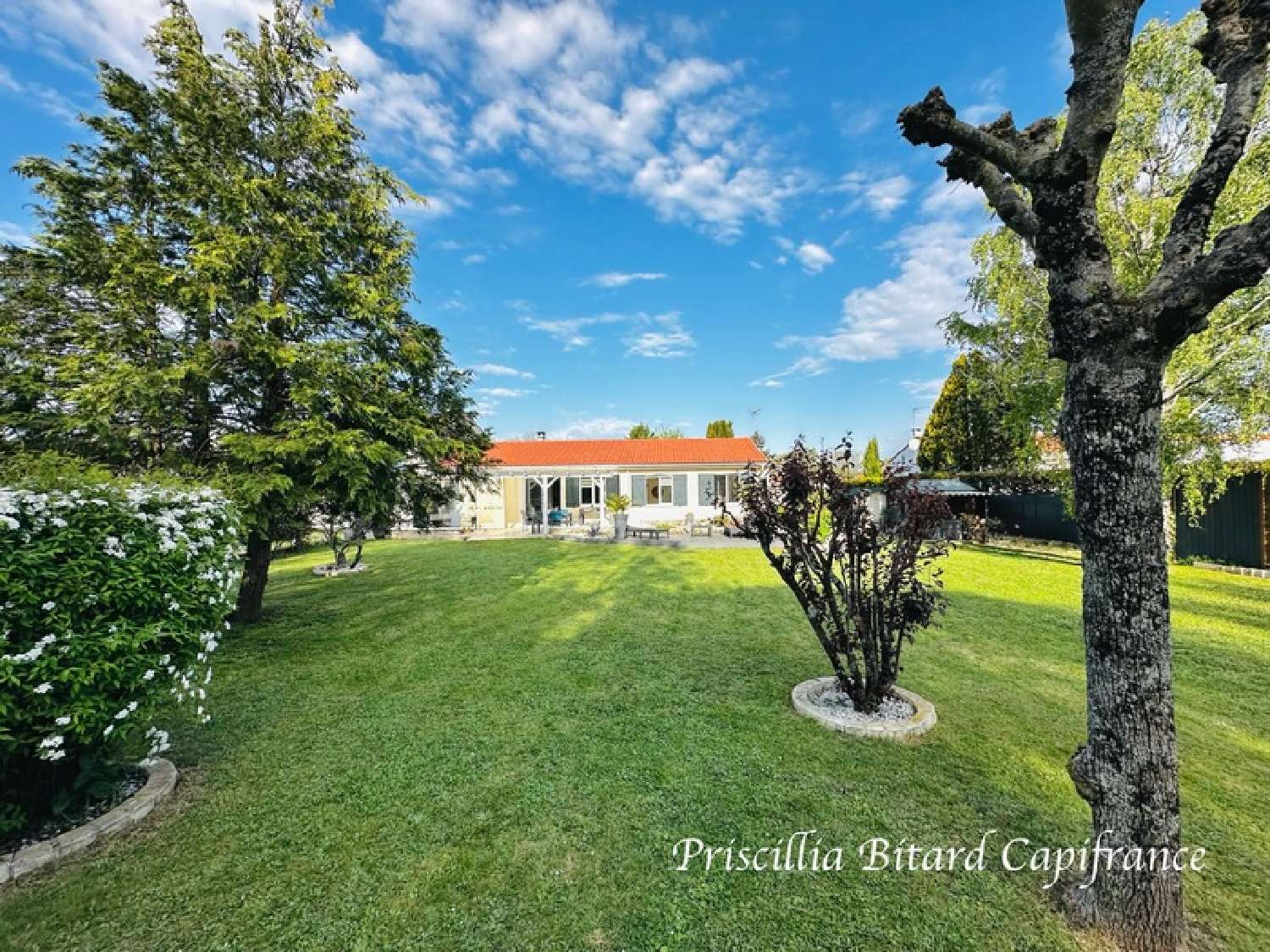  kaufen Haus Bourgneuf Charente-Maritime 3