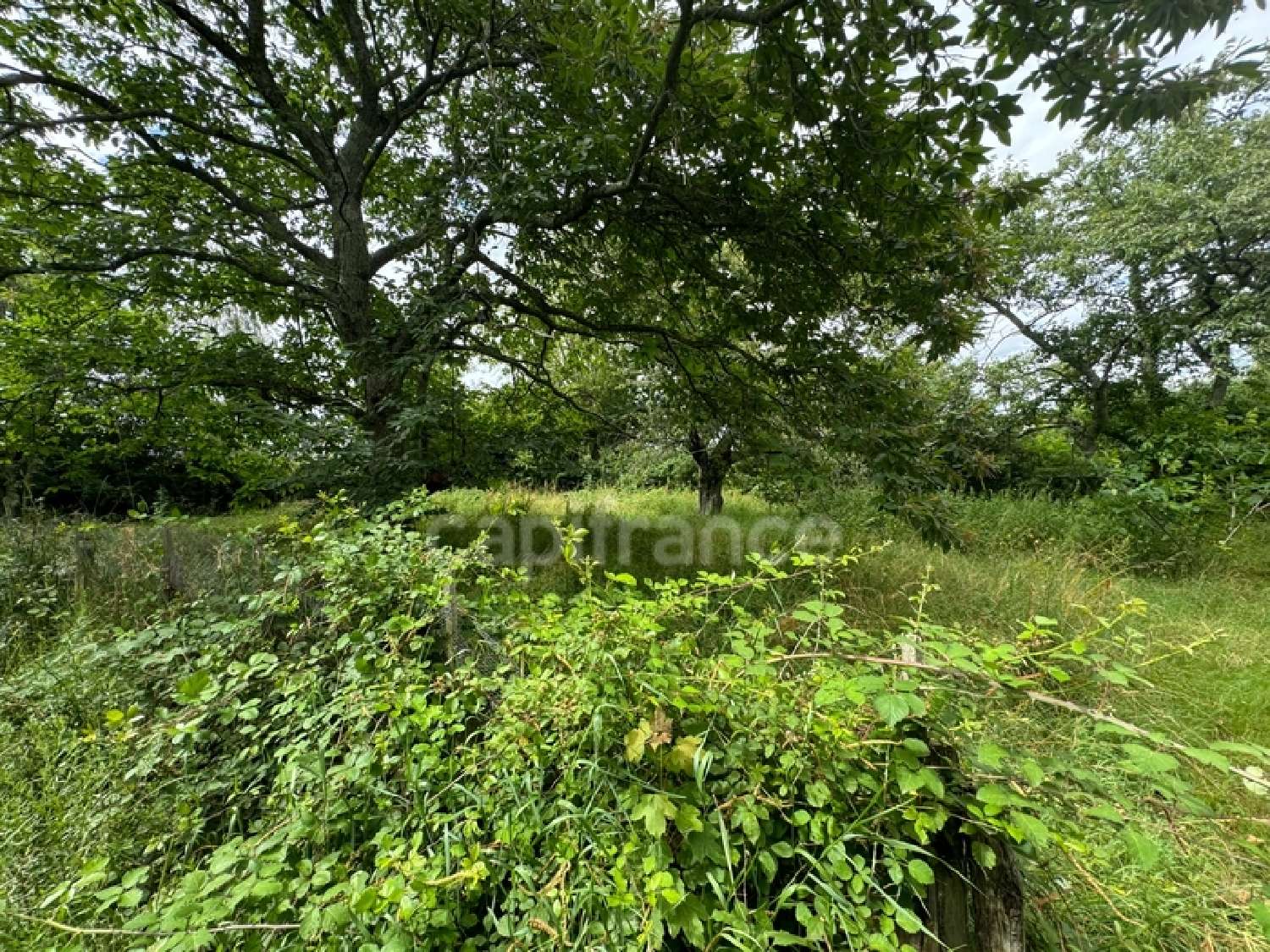  à vendre maison Boyer Saône-et-Loire 5