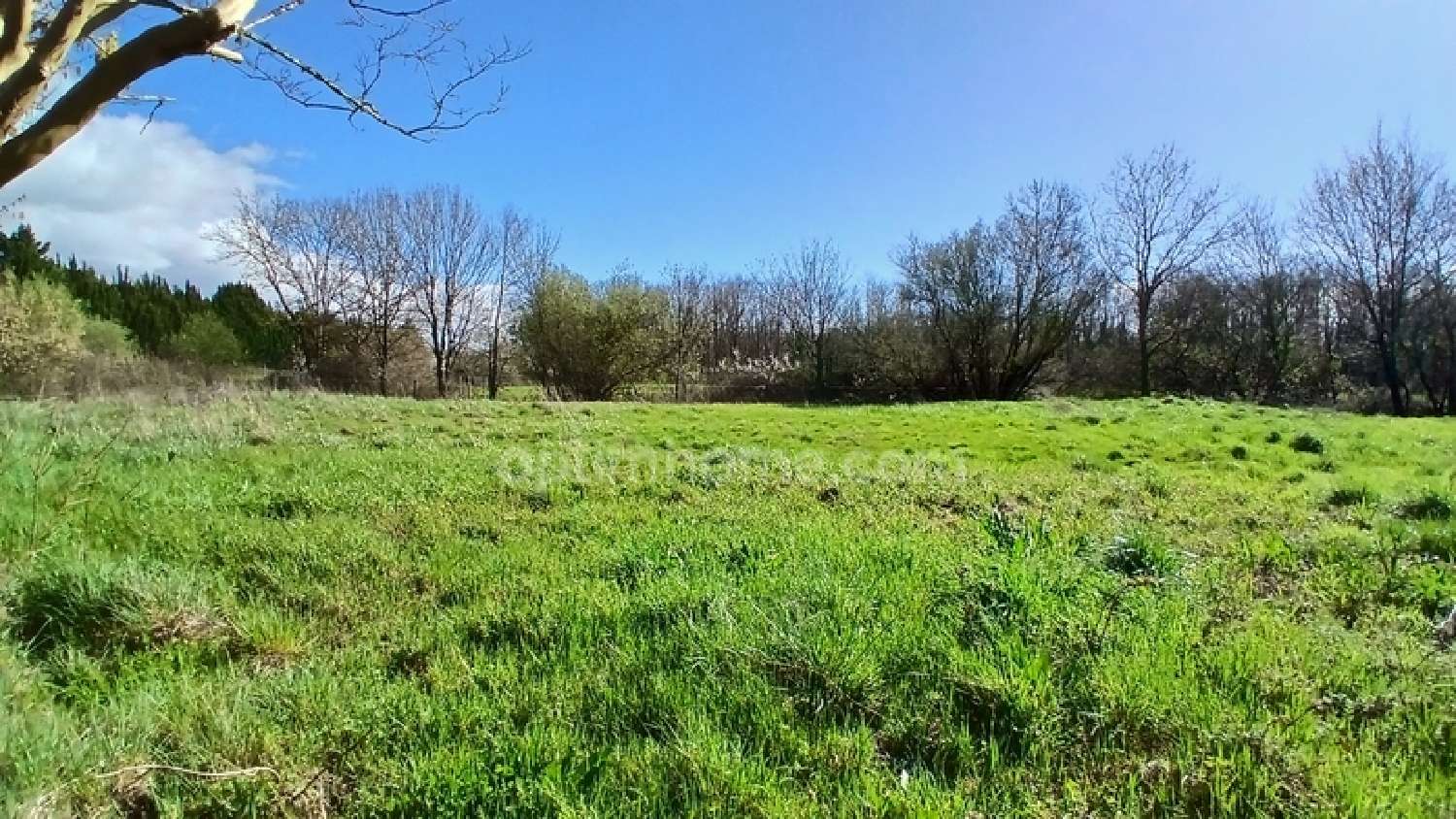 en venta casa Braud-et-Saint-Louis Gironde 8