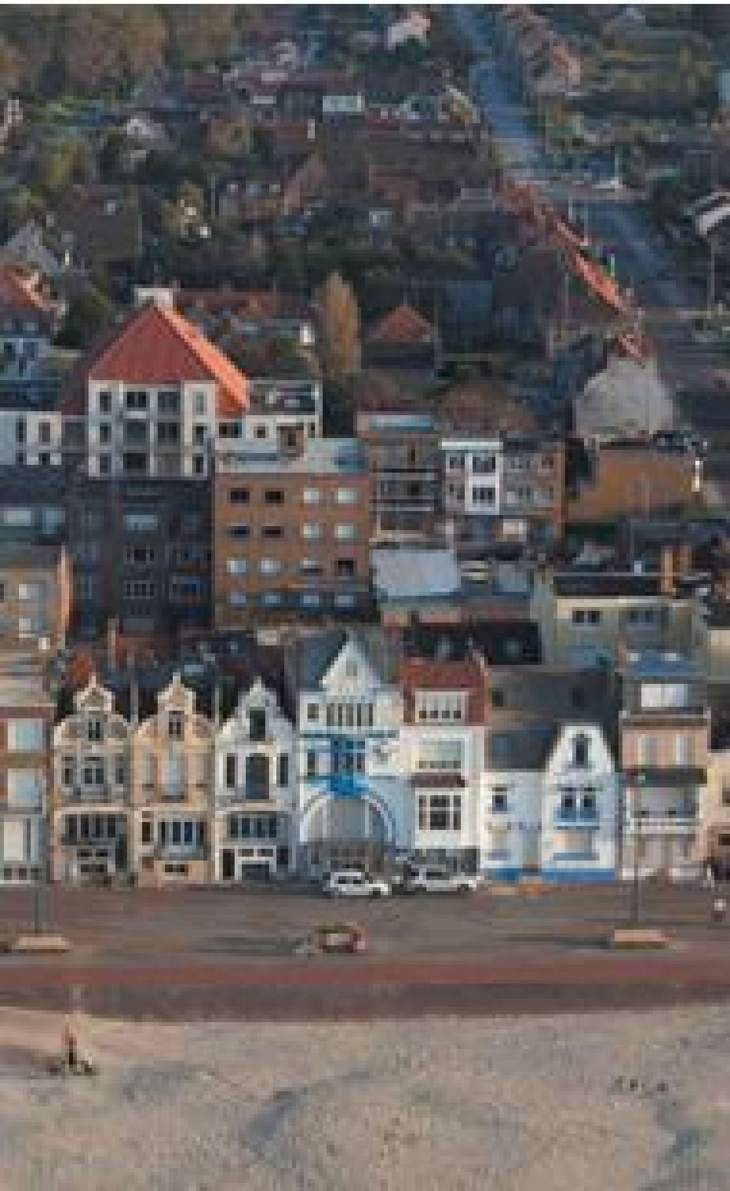 te koop huis Bray-Dunes Nord 4