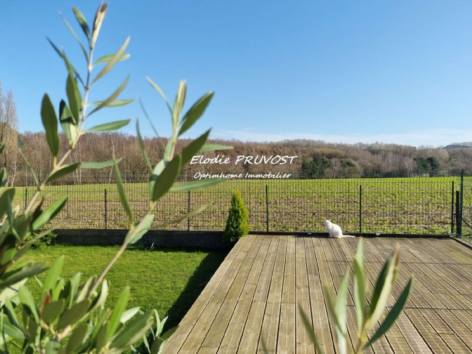  kaufen Haus Burbure Pas-de-Calais 4