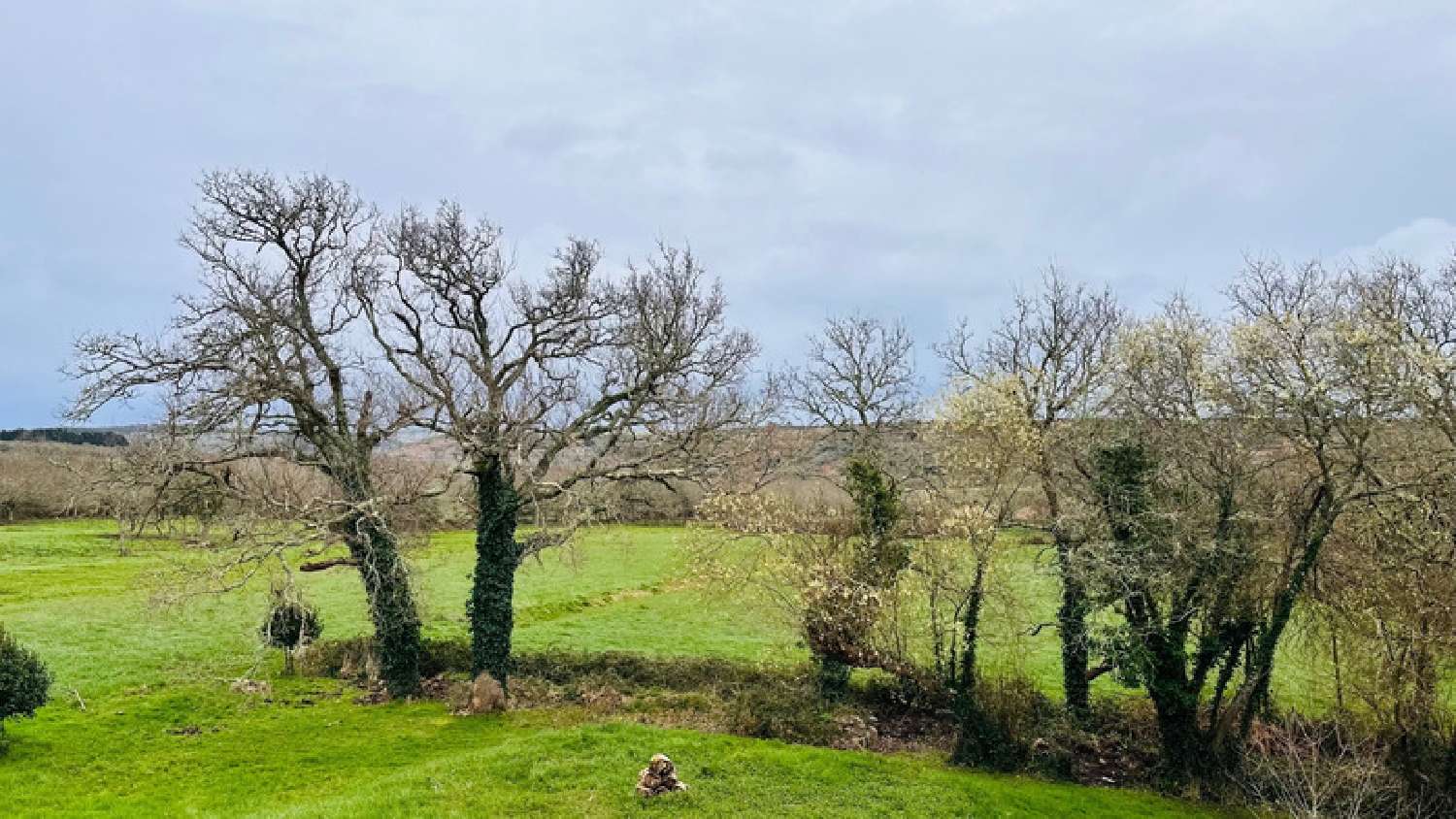 kaufen Haus Camaret-sur-Mer Finistère 6