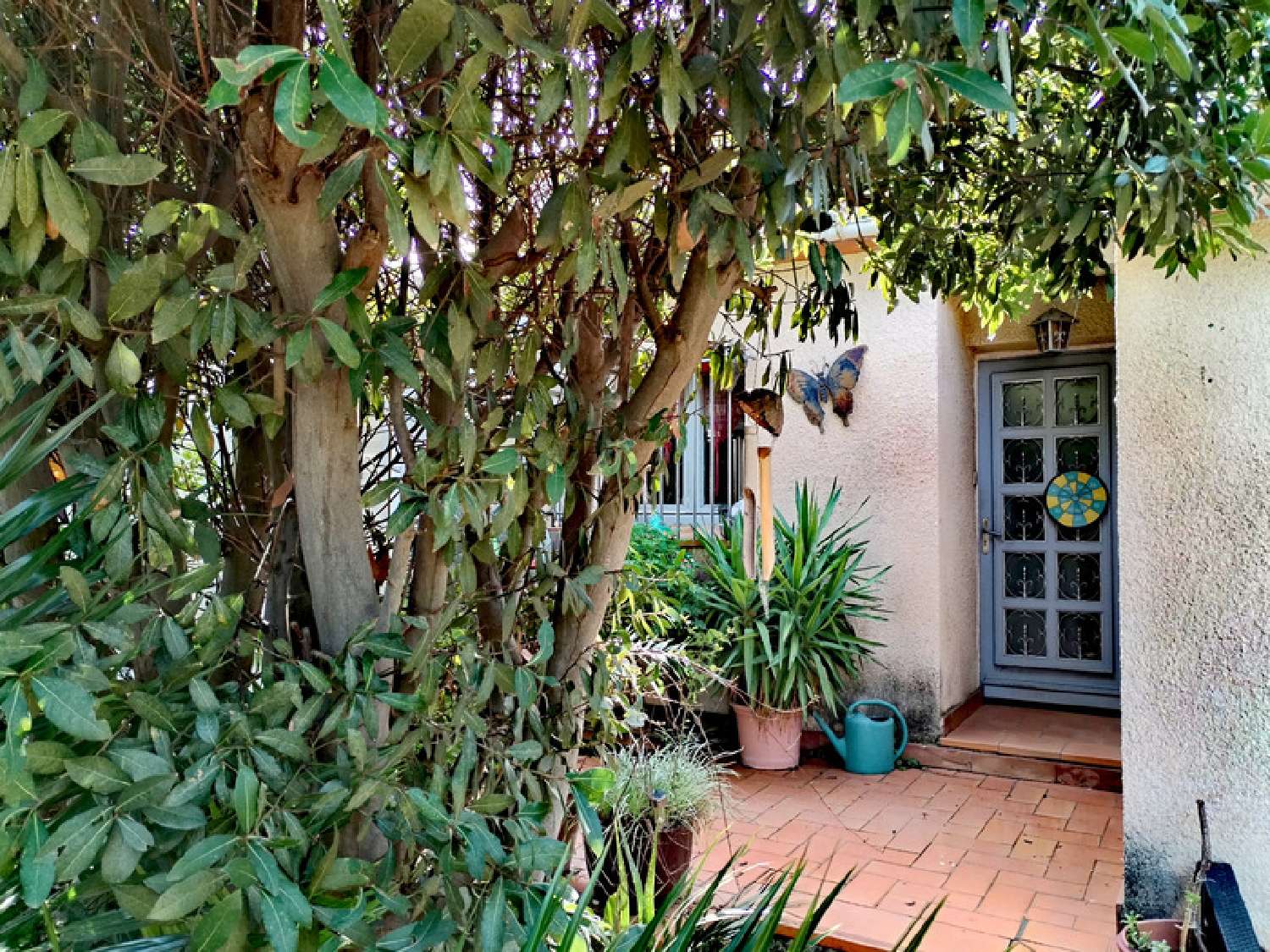  te koop huis Canet-En-Roussillon Pyrénées-Orientales 3