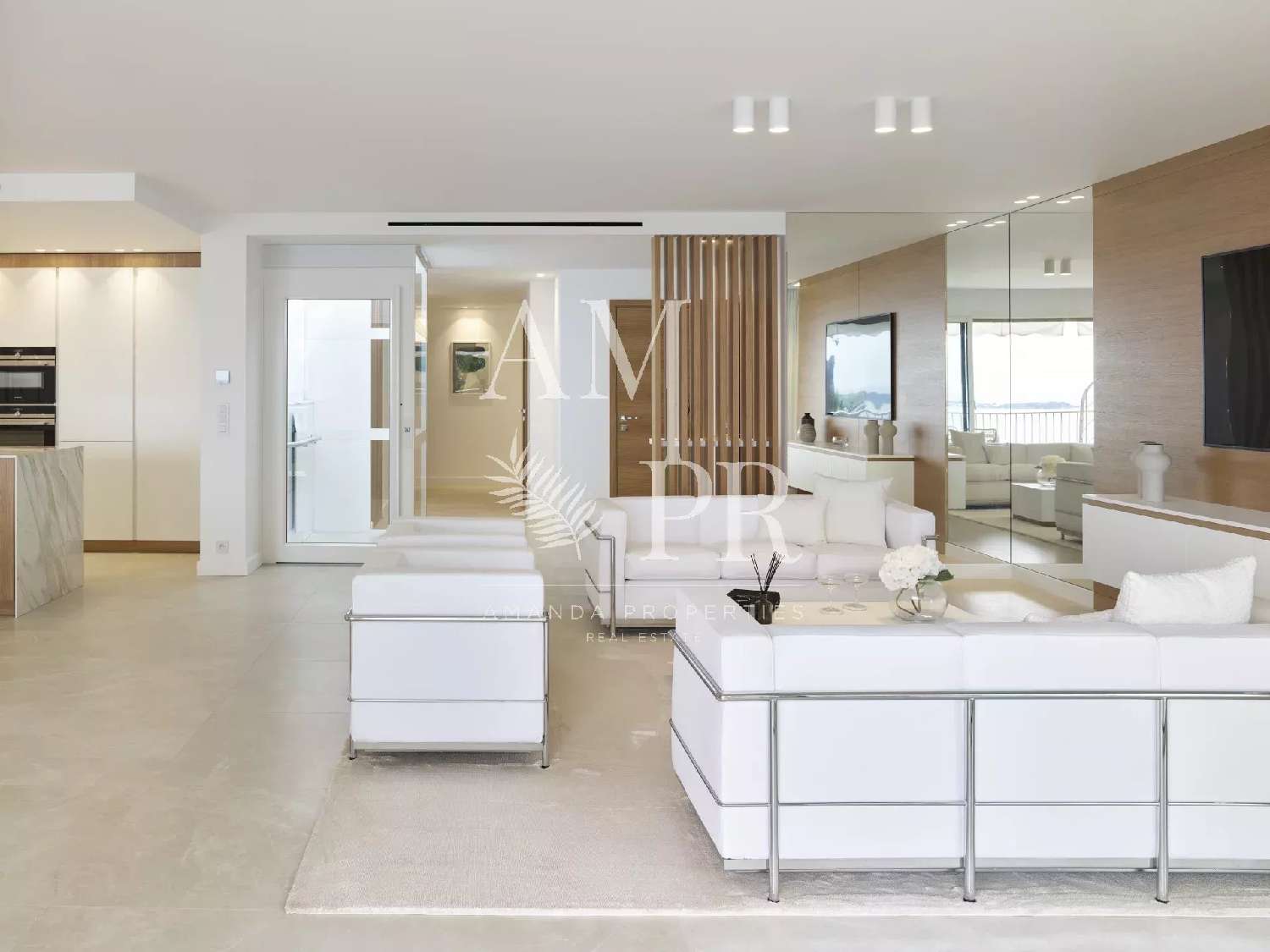  for sale house Cannes Alpes-Maritimes 5