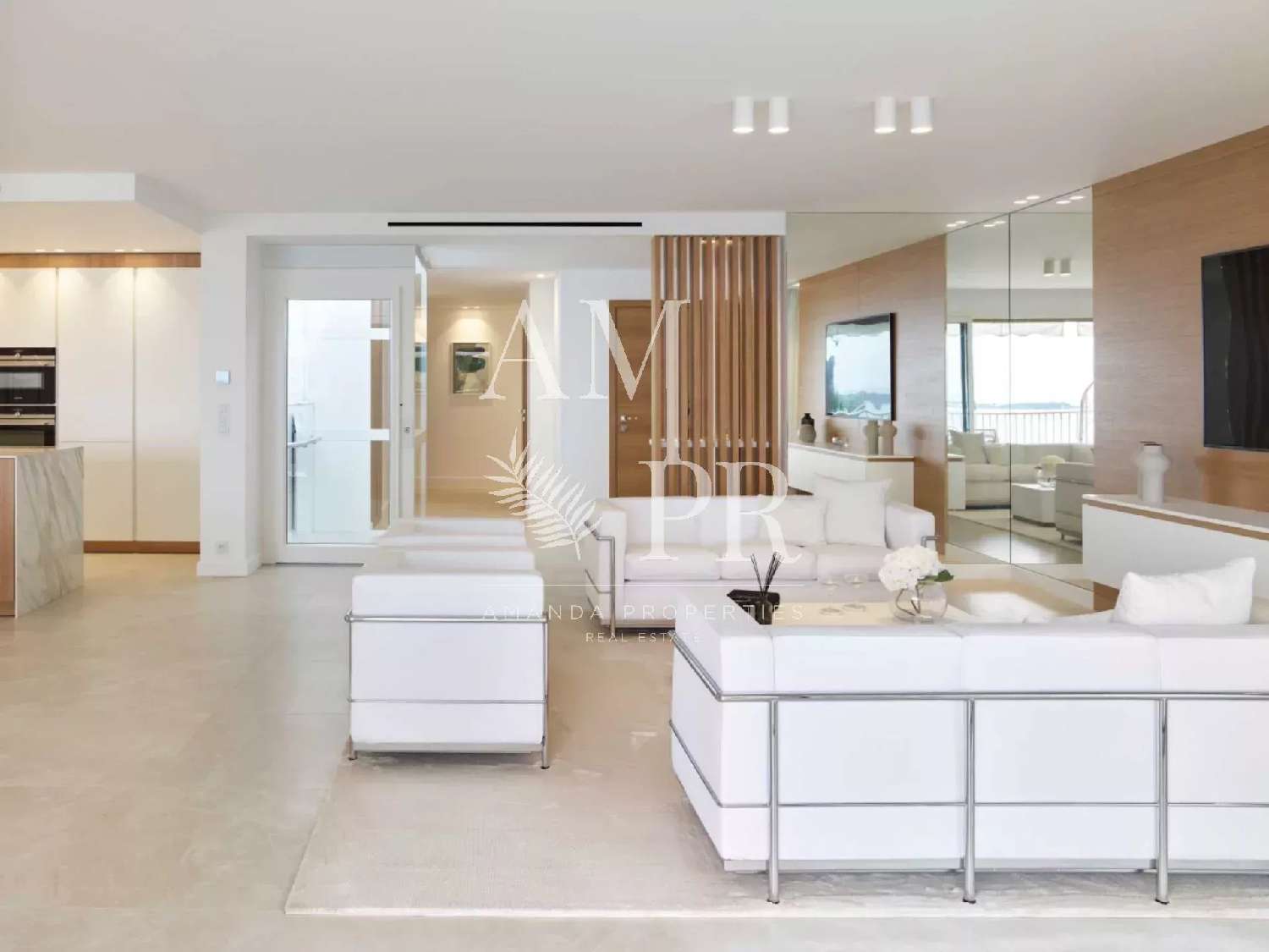  for sale house Cannes Alpes-Maritimes 6