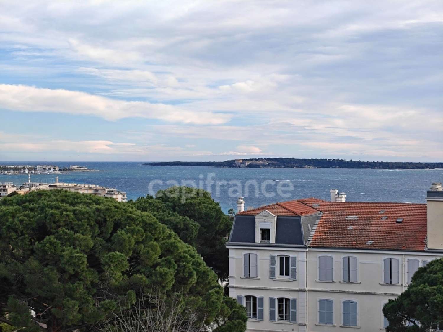  for sale house Cannes Alpes-Maritimes 2