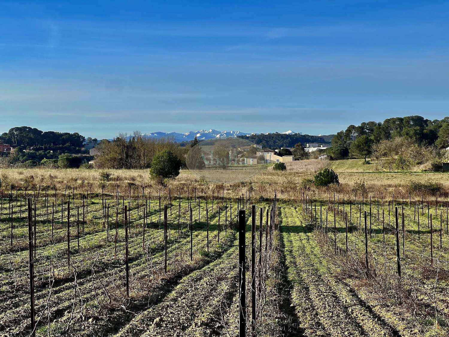  à vendre maison Carcassonne Aude 7