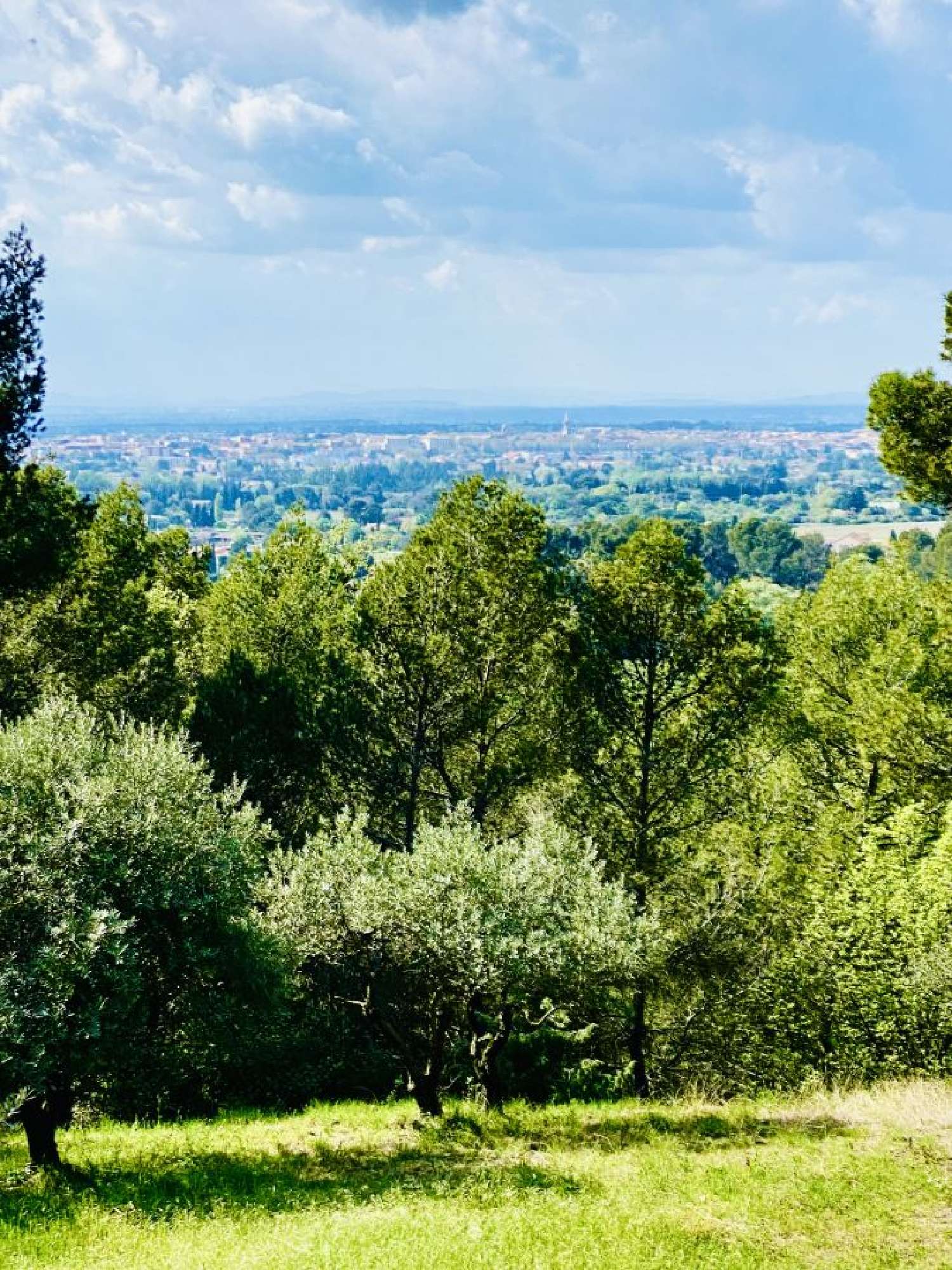  kaufen Haus Carpentras Vaucluse 3