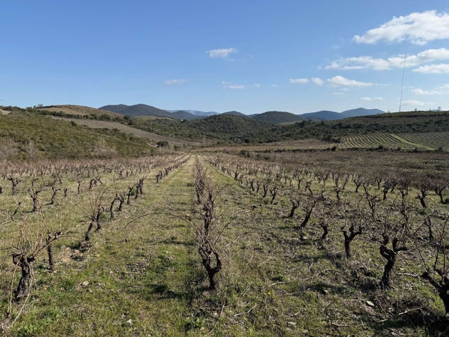 te koop huis Cascastel-des-Corbières Aude 3