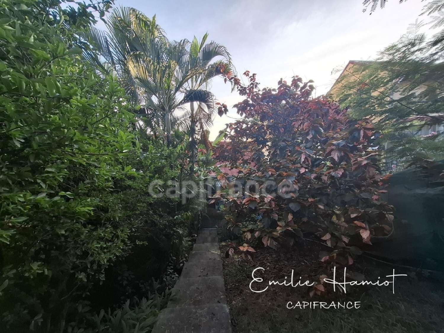  for sale house Case-Pilote Martinique 2