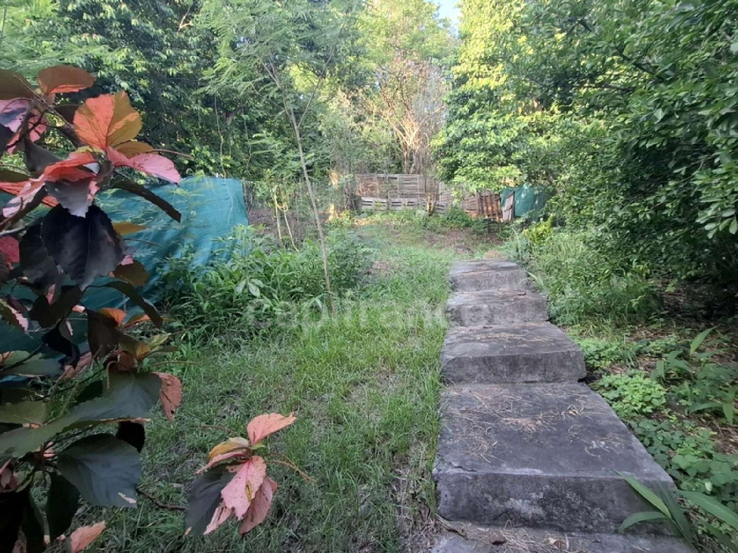  for sale house Case-Pilote Martinique 4