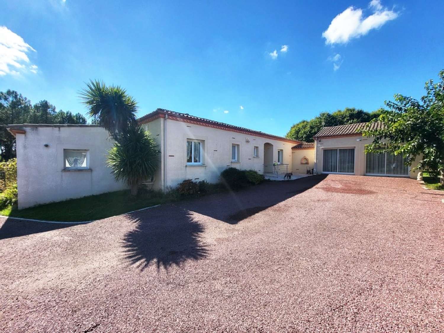 te koop huis Casteljaloux Lot-et-Garonne 4