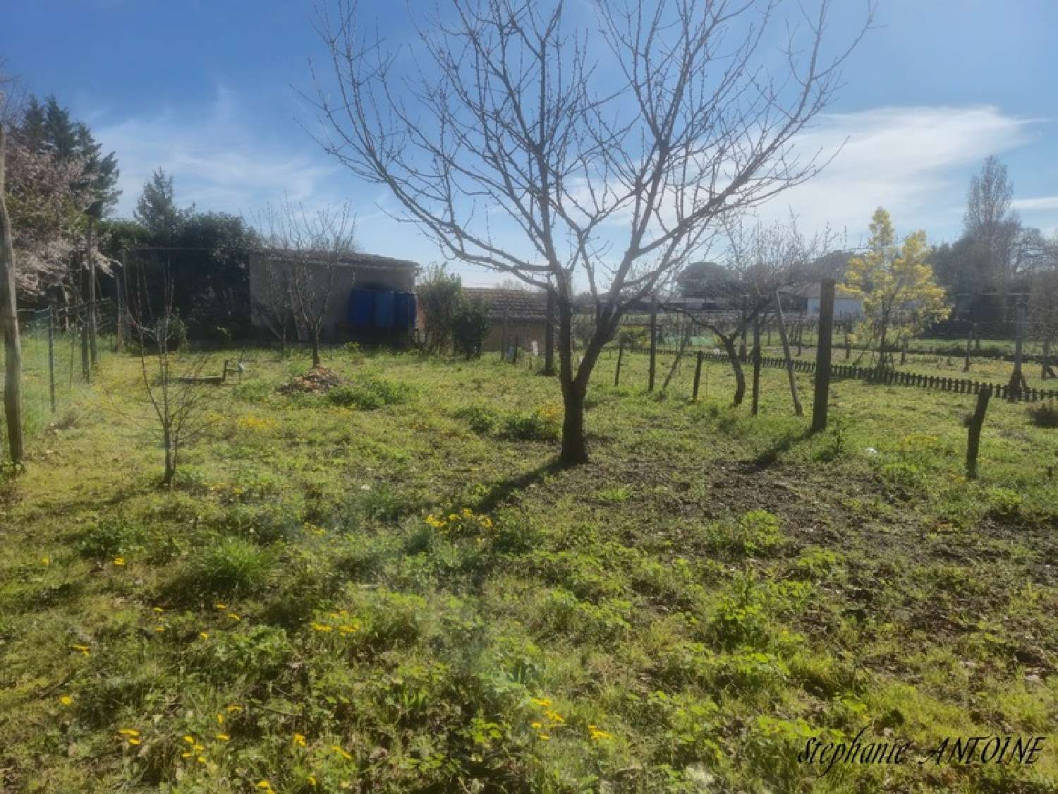 kaufen Haus Castelnau-d'Auzan Gers 7