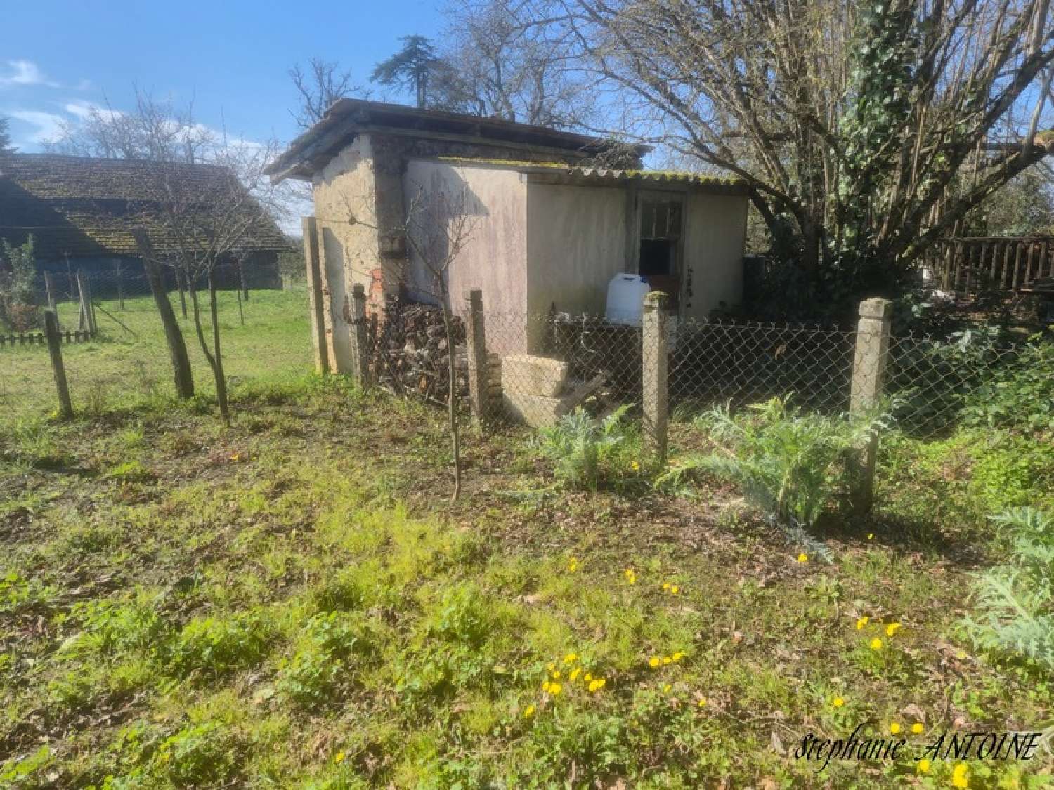 kaufen Haus Castelnau-d'Auzan Gers 8