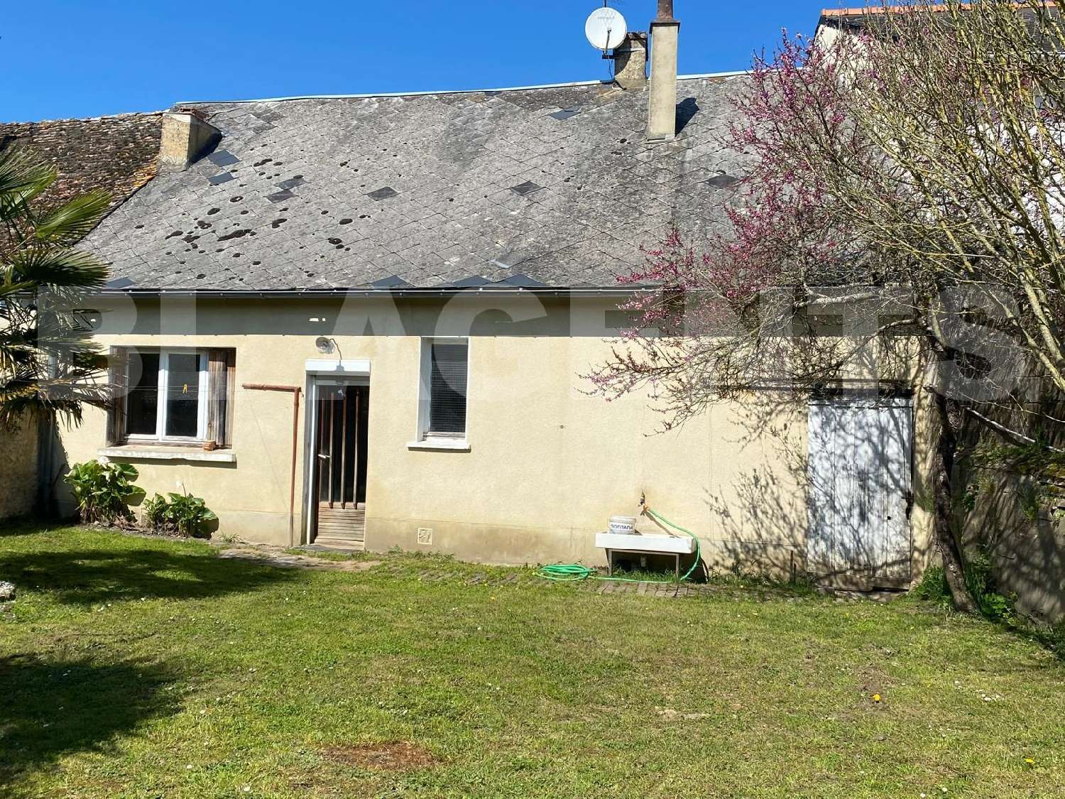  for sale house Cérans-Foulletourte Sarthe 1